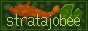 stratajobee's site
